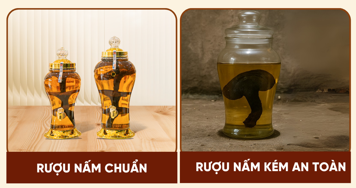 BÌNH RƯỢU NẤM LIM XANH